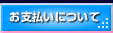 お支払いについて