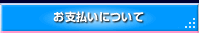 お支払いについて