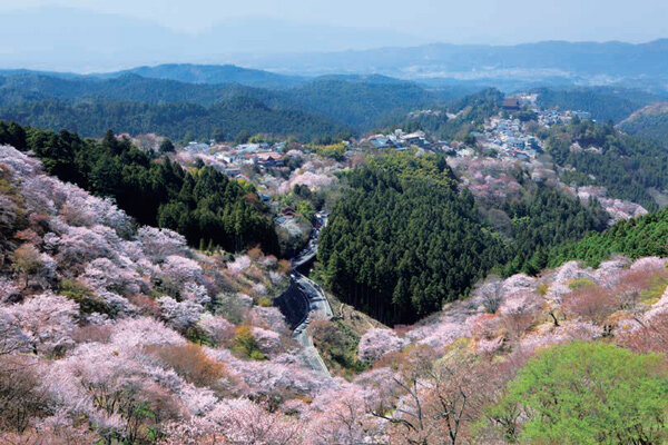 「吉野千本桜」と京都・奈良の名桜を訪ね、たけのこ料理と奈良ホテルを楽しむ2・3日間 イメージ