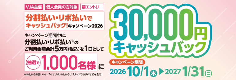 分割払い・リボ払いでキャッシュバック！キャンペーン2026