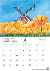 4月 オランダ／公園の風車とチューリップ イメージ