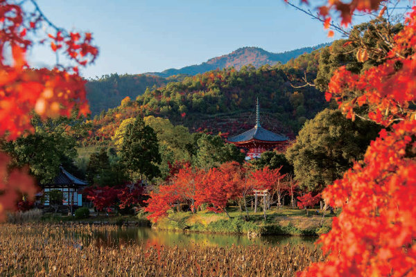 京都・伊勢 皇室ゆかりの紅葉名所巡りと美食を愉しむ3日間 イメージ