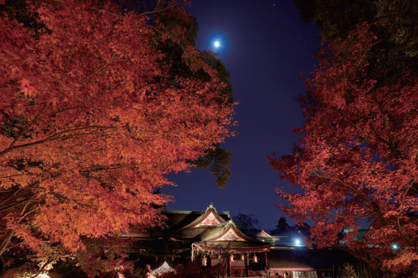 京都・近江路、絶景の紅葉と老舗料亭の味覚を堪能する2･3日間 イメージ